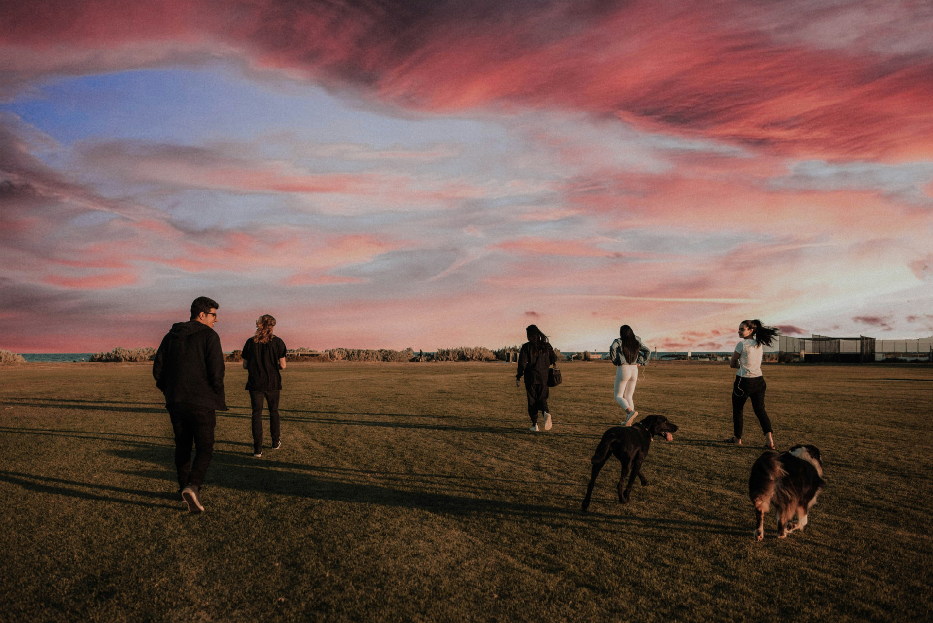 A group of young people walking across a wide grassy field under a dramatic pink sunset sky.